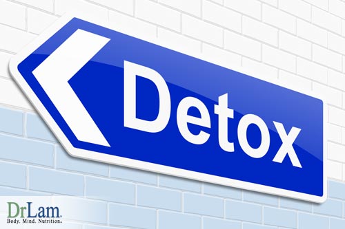 Detoxification and the benefits from probiotics