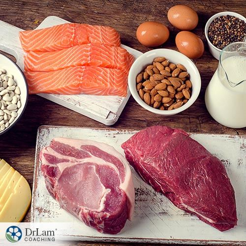 Healthy dietary protein