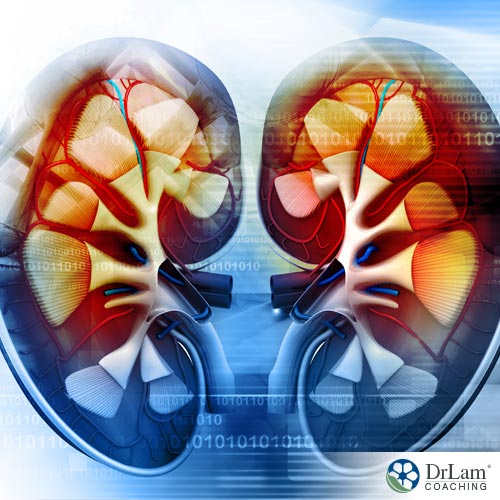 Kidney disease affects your health