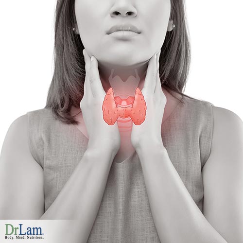 Hormone balancing and natural thyroid regulation