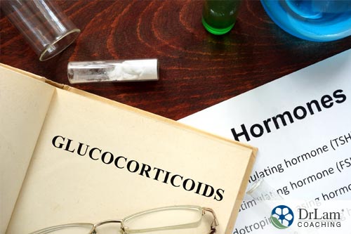 A concept image of Hormone permissiveness and glucocorticoids