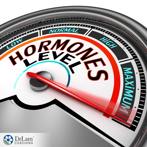An illustration showing an increase in Hormone permissiveness