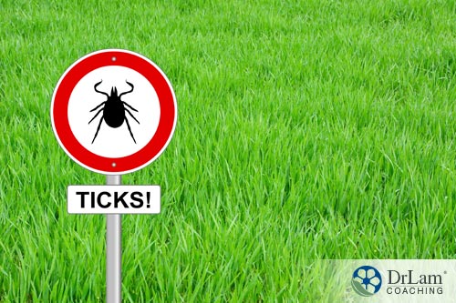  tick sign as a warning of lyme, something stevia leaf extract may help with