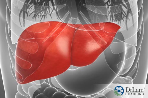 A study on fluctuating liver size