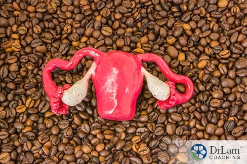 a modal uterus sitting on beans demonstrating the affects of caffeine and pregnancy