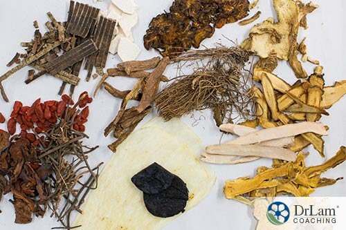 A spread of Chinese medicine herbs