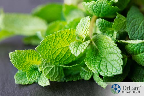 Healthy herbs image of mint