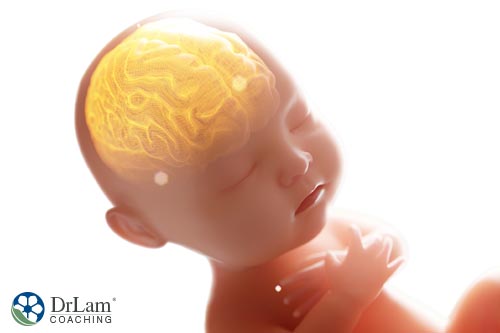 Baby brain affected by BPA effects
