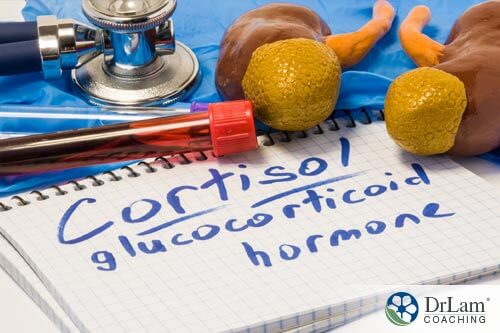 cortisol vs cortisone glucocorticoid hormone written on a piece of paper with test tube and adrenal glands next to paper
