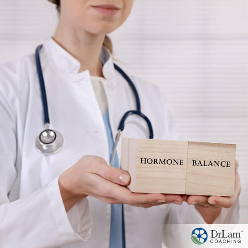 An image of a doctor holding blocks with hormone balance written on them