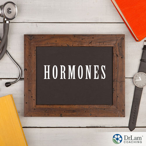 An image of a chalkboard with the word hormones on it