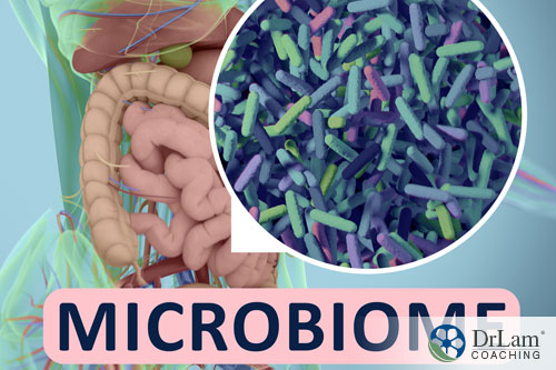 An image of the gut and microbiome