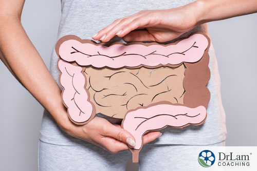 An image of a woman with a cardboard cutout of the digestive system in front of her