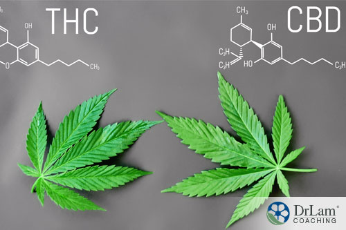 An image of two cannabis leaves with the THC and CBD molecular structure written above them