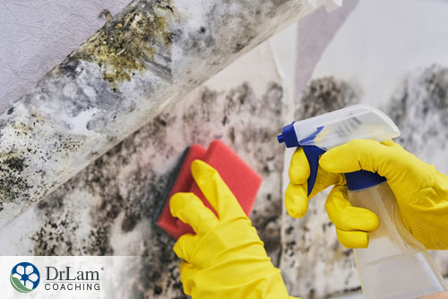 An image of someone removing mold from a surface wearing rubber gloves
