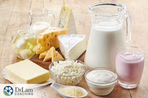 An image of a variety of cheeses and yogurt
