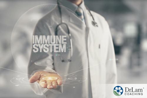 One part of the key to longevity, is having a strong immune system