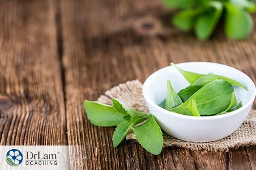 Stevia and natural Lyme disease cures
