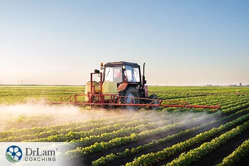 Pesticides and Organic food