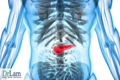 menopausal metabolic syndrome and the pancreas