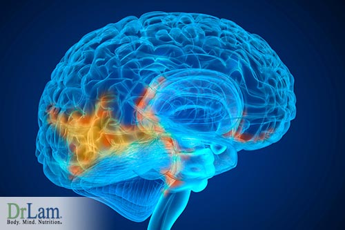 Reduce EMF exposure to minimize brain cancer risk