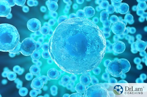 Stem cells' unique properties
