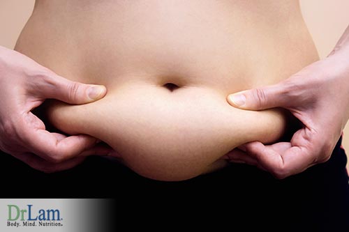 Fertility Hormones and body fat
