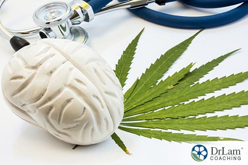 Cannabinoids place in health care