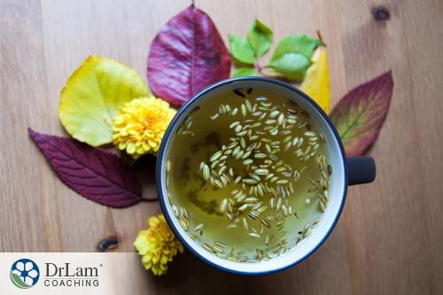 a cup of fennel tea has may benefits of fennel