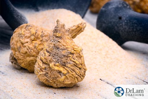 Maca Root as a part of the key to longevity