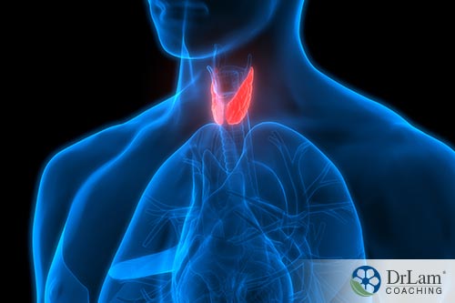 Oxalate sensitivity and the thyroid