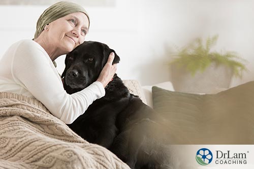 Helping the elderly with pets for anxiety
