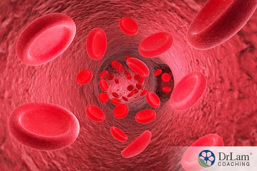 Stem cells can be used as a remediation of blood diseases