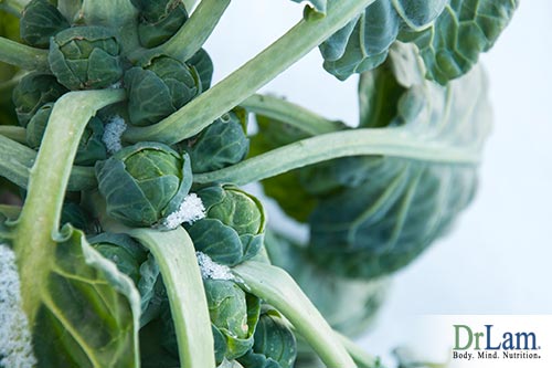 Brussel sprouts and natural thyroid regulation