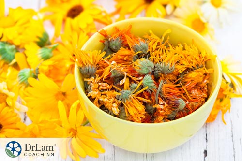 Calendula is a great alternative to vaccinations for fighting against flu