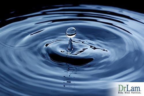 Water and bioenergetics