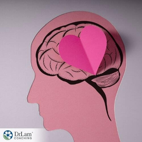 An image of the human brain with a pink heart on it
