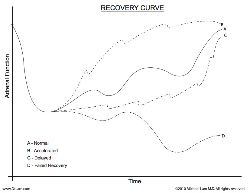 Different adrenal recovery possibilities depending on stage of adrenal fatigue crash
