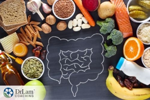 An image of the intestines surrounded by various foods