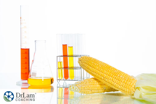 An image of corn and glass beakers learning more about fructose