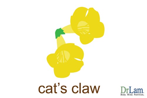 About H1N1 and cat's claw tea