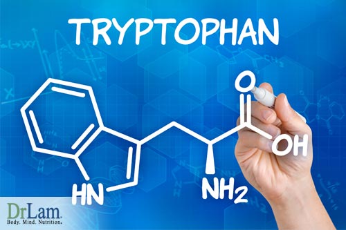About Niacin and Tryptophan