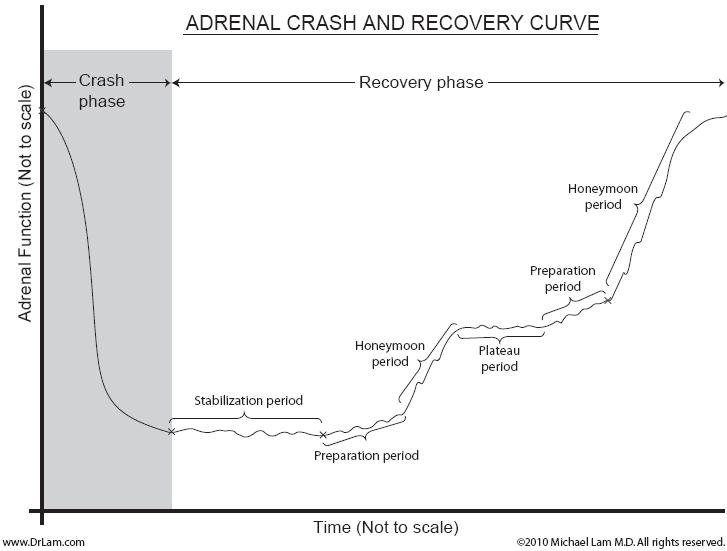 A graph depicting the different phases of an adrenal fatigue crash and recovery.