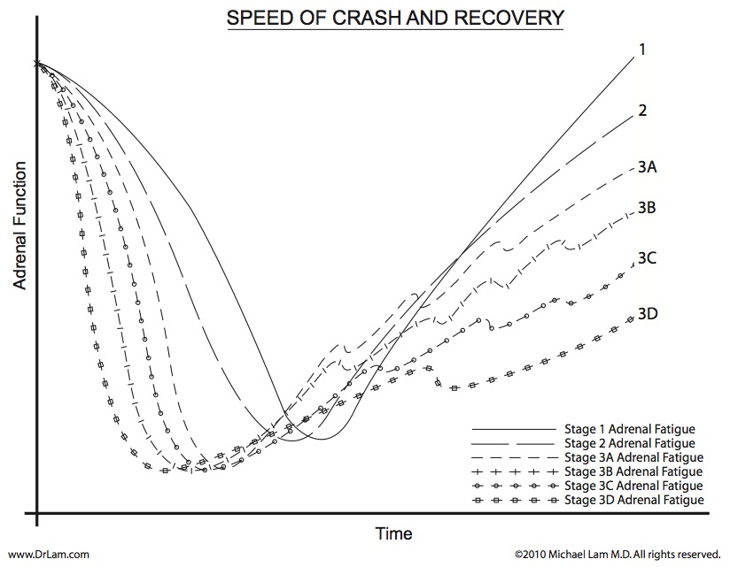 Adrenal function versus time in relation to the speed of recovery after an adrenal fatigue crash.
