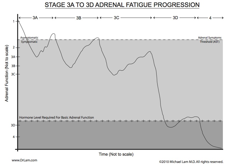 A graph to show the adrenal fatigue crash and recovery cycle in stage 3.