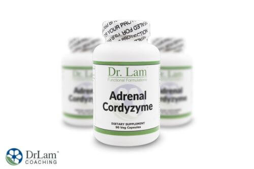 An image of a bottle of Adrenal Cordyzyme