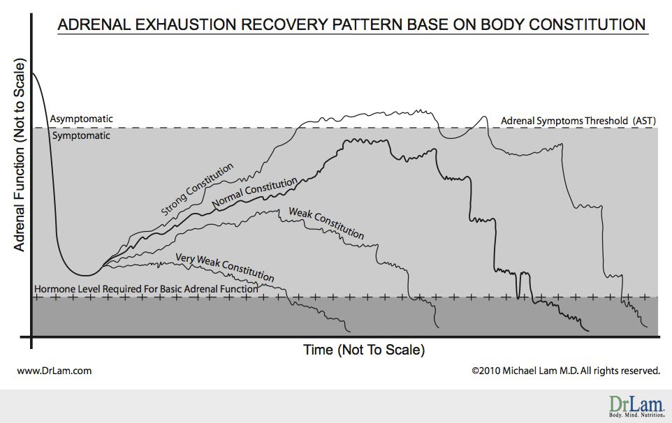 Adrenal Fatigue recovery pattern based on body constitution