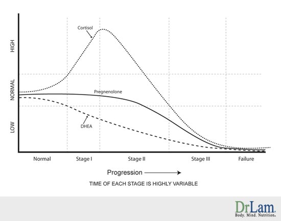 Progression Chart for Adrenal Fatigue