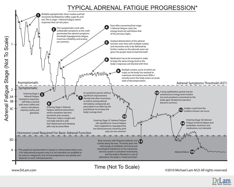 A chart showing the typical progression of Adrenal Fatigue