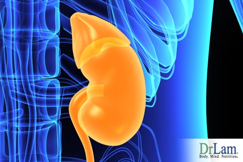 Homeostatic regulation is supported by the adrenals 